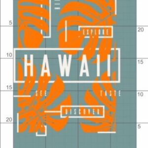 02-119 термотрансфер Гавайи с листьями 15*25 см